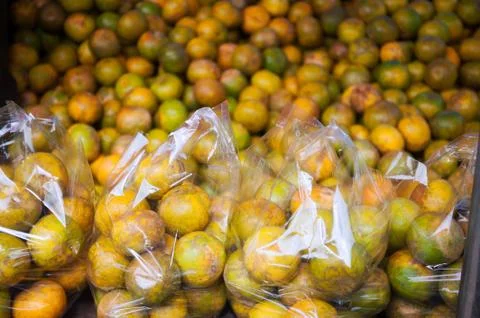 Small orange tree Foto stock