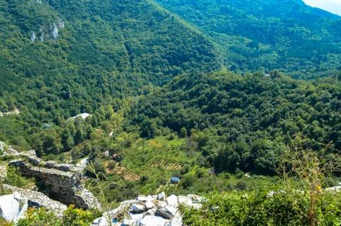 Small orchard farm 写真素材