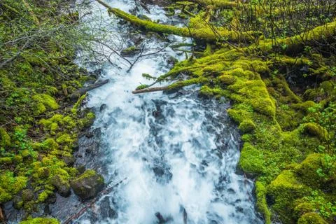 Small Oregon Mountain River Stock Photos