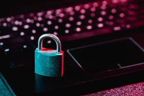 Small padlock on netbook keyboard Illustrazione stock