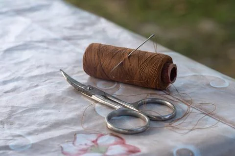 A small pair of scissors and a sewing needle with a spool of brown thread. Stock Photos