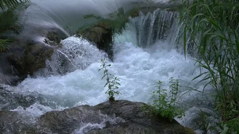 Small pant on rock resists elements in Krka national park Video stock 71177815