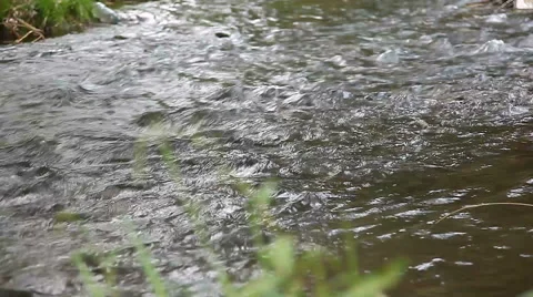 Small paper boat on river Stock Footage 50895053
