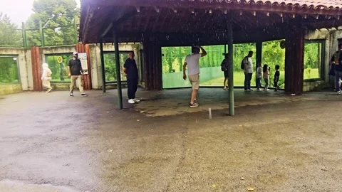 A small park with a. Stock Footage 284671696