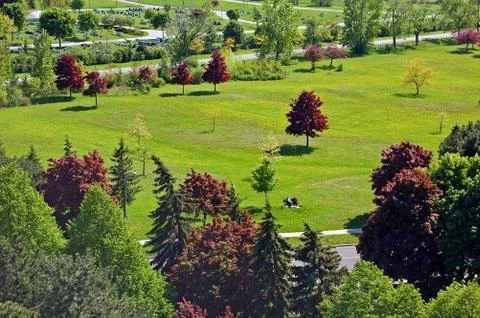 Small park Stock Photos