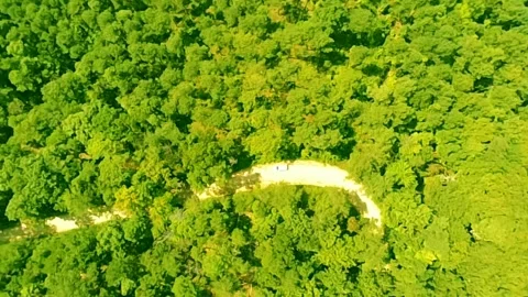  A small part of the lush Alabama forest as seen from high up Stock-Footage 340524952