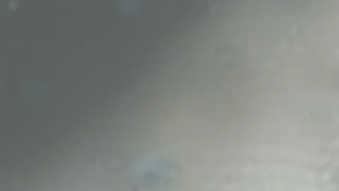 Small particles of plastic stick together in water Stockbeeldmateriaal 110799516