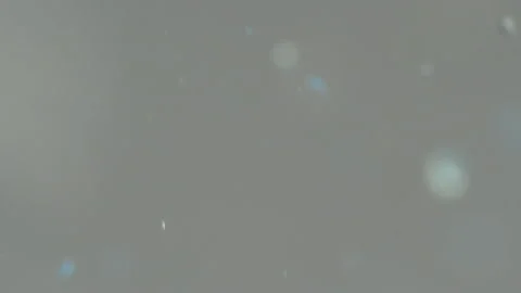 Small particles of plastic stick together in water Stockbeeldmateriaal 110799777