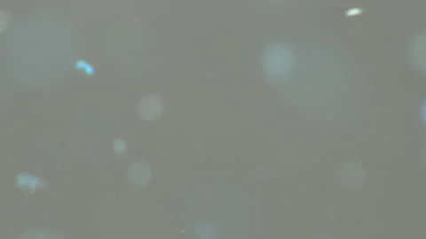 Small particles of plastic stick together in water Stockbeeldmateriaal 110800152