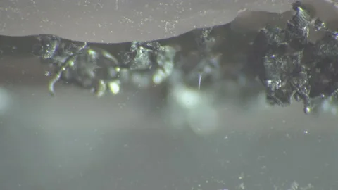 Small particles of plastic stick together in water Stockbeeldmateriaal 110801057