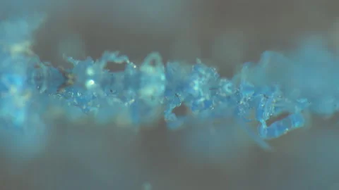 Small particles of plastic stick together in water Stockbeeldmateriaal 110801059