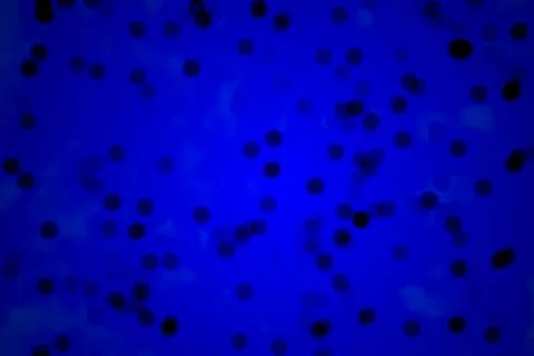 Small particles under the microscope with blue illumination Stock Photos