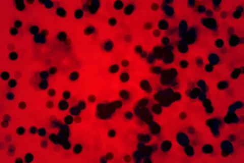 Small particles under the microscope with red illumination Stock Photos