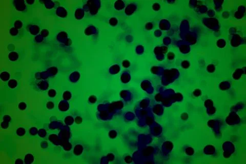 Small particles under the microscope with red illumination Stock Photos