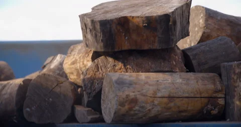 Small parts of tree trunks are transported along a conveyor that vibrates Stock Footage 161968513