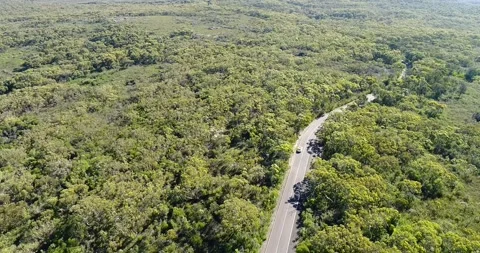 Small passenger car on remote road in national park of Australia – Sydney. Stock Footage 147292936
