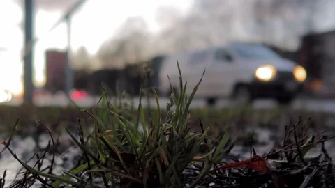 Small patch of grass close up in the streets with traffic in background Video stock 101220489