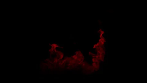 Small patch of magical red fire burning Stock Footage 312229901