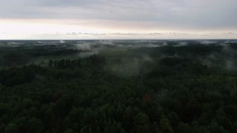 Small patches of clouds over the forest Stock Footage 205435451