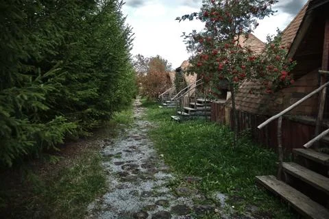 A small path between the spruce forest and wooden houses. Stock Photos