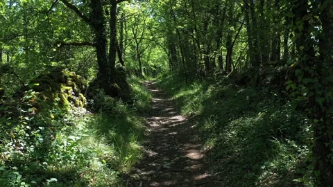 Small path Stock Footage 144164758