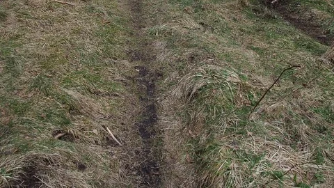 Small path in the forest.. Video stock 90528139