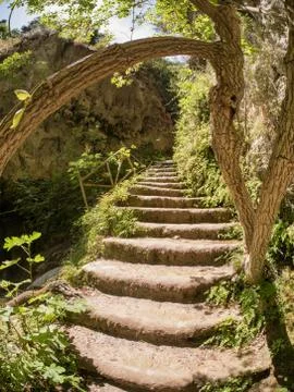Small path in the forest Stock Photos