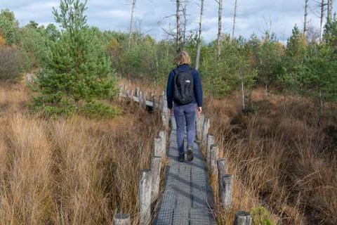 Small Path Hiker Drenthe Stock Photos