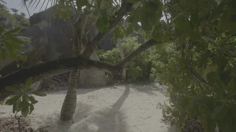 Small path la digue flat Stock Footage 80397175