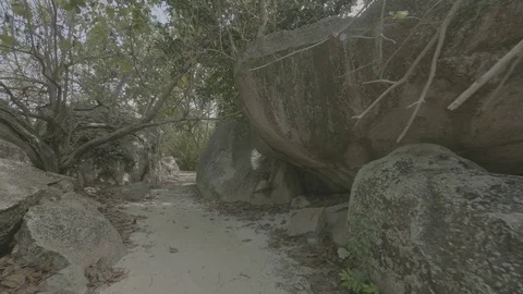 Small path La Digue Stock Footage 80396667