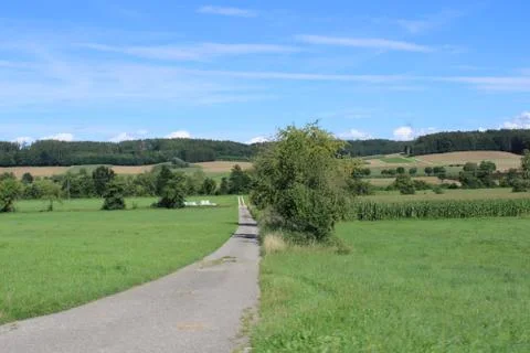 Small path leading into the fields. Stock Photos