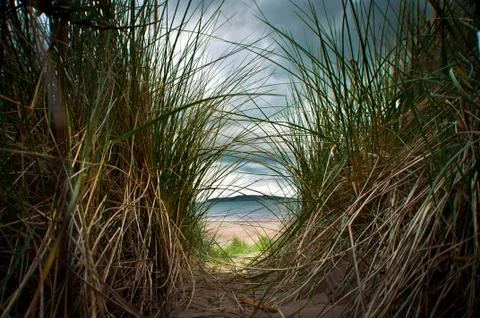 A small path leading to the lake through tall grass Stock Photos