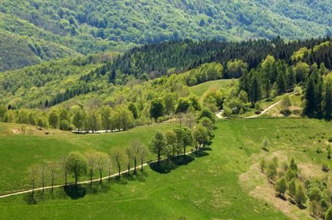 Small path leading through a green field Stock Photos