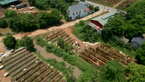 Small path near the road leads to the wood factory in a village in vietnam Stock Footage 303846607