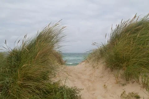 Small path over the dunes Stock Photos