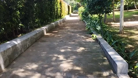 Small path in the park for morning jogging Stock Footage 229557063