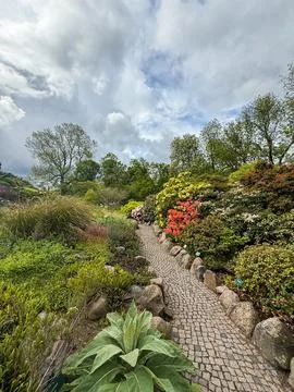 Small path surrounded by beautiful fresh and green compositions of flowers,.. Foto stock