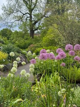 Small path surrounded by beautiful fresh and green compositions of flowers,.. Stock Photos