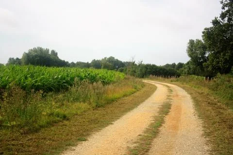 Small path through fields and forests Stock Photos