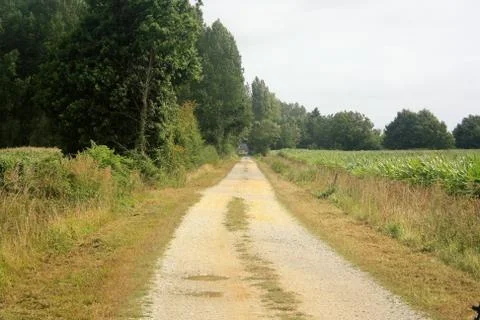 Small path through fields and forests 库存照片