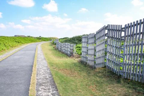 Small path way in the park at cape Zanpa at Okinawa Stock Photos