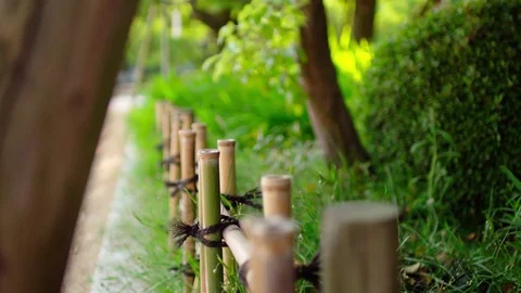 Small pathway with bamboos in fresh green branches close-up Stock Footage 75820021