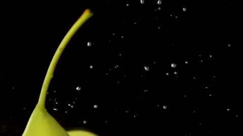 Small pears in water Stock Footage 230482080
