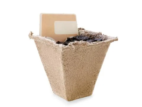 Small peat pot filled by soil with blank label. Isolated on white, clipping p Stock-Fotos