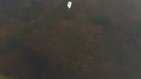 Small pebble drop on the surface of water Stock Footage 103657306