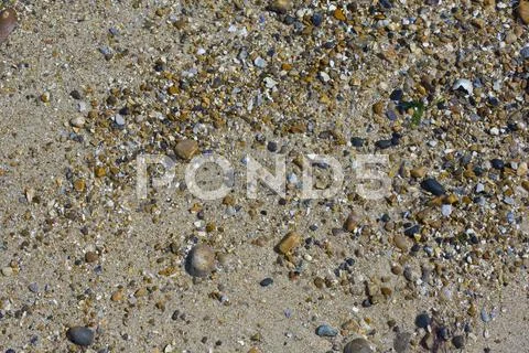 Small pebbles and sandy beach Stock Photos