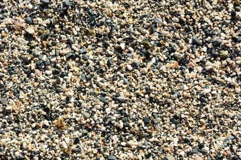 Small pebbles and sea shells on a beach 스톡 사진