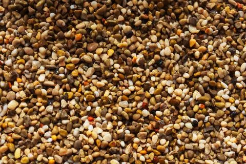 Small pebbles on the beach texture close up Stock Photos