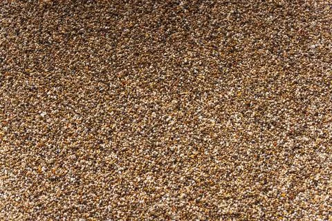 Small pebbles on the beach texture close up Stock Photos