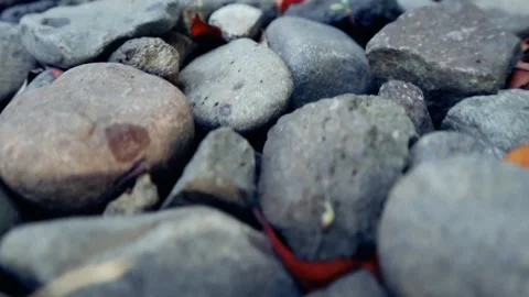 Small pebbles with delicate, dried brown leaves nestled in between, creatin.. Stock Footage 297145229